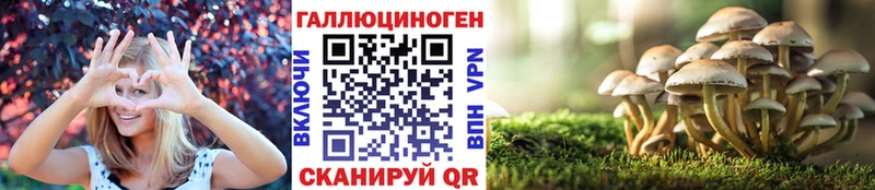 Псилоцибиновые грибы GOLDEN TEACHER  kraken   Петропавловск-Камчатский 