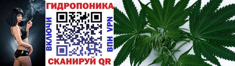 Конопля SATIVA & INDICA Петропавловск-Камчатский